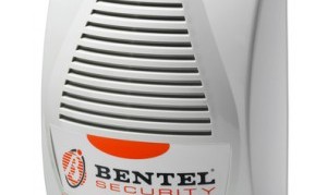 Bentel-lady ΣΕΙΡΗΝΑ ΕΞΩΤΕΡΙΚΗ